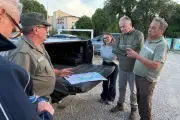 Louvetiers dans le Var : appel à candidatures pour 4 postes