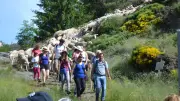 Lozère : 17 balades gratuites pour découvrir le pastoralisme en 2026