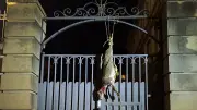 Lozère : brebis mortes pendues à la préfecture par des agriculteurs
