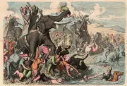 Éléphants de combat : les leçons antiques de l'art de la guerre