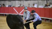 Manade Arlatenco remporte les Olympiades des gardians à Nîmes