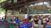 Marché de Lamalou-les-Bains : un rendez-vous hebdomadaire incontournable