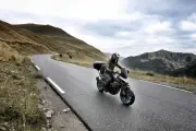 Marmottes écrasées au col de la Bonette : l'espèce en danger ?