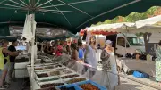 Marseillan : le marché du centre-ville, un rendez-vous familial prisé