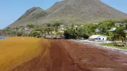 Martinique : une sécheresse exceptionnelle frappe l'agriculture