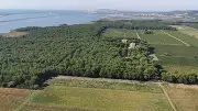 Mas Rouge à Vic-la-Gardiole: oenotourisme entre étang et Gardiole