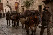 Médiévales de Brignoles : les muletiers Bigatier en démonstration