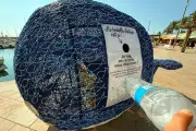 Menton : des conteneurs tortue et baleine pour recycler le plastique