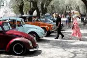 À Menton, la 36e édition du Sun Cox Azur célèbre la passion des vieilles Volkswagen