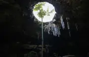 Mexique : un pêcheur disparu retrouvé vivant après 15 jours dans une grotte