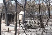 Mégafeu en Gironde : 208.000 évacués de retour, zéro mort civil
