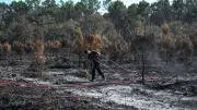 Mégafeu en Gironde : 300 000 € d'aide d'urgence débloqués