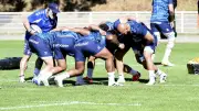 MHR : seul amical avant le Top 14, suivez Castres-Montpellier en direct