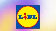 Mixeur plongeant Lidl à 9,99 € : stocks limités face à la demande