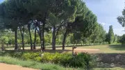 Montpellier : un ado de 16 ans tué au couteau, un mineur interpellé