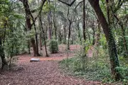 Mouans-Sartoux : 180 hectares de forêts fermés au public jusqu'au 1er septembre