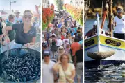 Moules, Tour Royale, Enfoirés : nos idées de sorties autour de Toulon