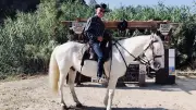 Mourèze : un ranch pour découvrir le cirque à cheval