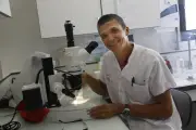 Moustique tigre : « Il va falloir apprendre à vivre avec » ces virus