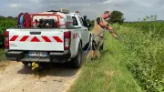 Moustiques dans l'Hérault : l'EID Méditerranée renforce ses actions
