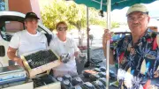 Muscat du Ventoux : les producteurs affichent leur optimisme