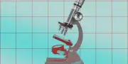 Mutation génétique rare : 60% de risque cardio en moins