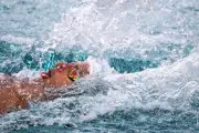 Natation : les Bleus lancent leur machine vers Paris 2024