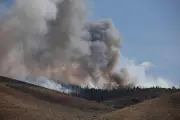 Nevada : 40 000 évacués face à un feu de forêt menaçant Reno