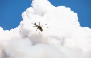 Nevada : 90.000 personnes menacées par un incendie près de Reno