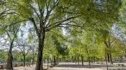 Nîmes ferme les Jardins de la Fontaine face aux orages