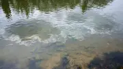 Noyade mortelle d'un adolescent de 14 ans dans le Loing