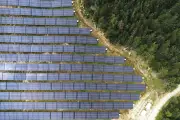 Nucléaire : bientôt intermittent en France sous 40°C ?