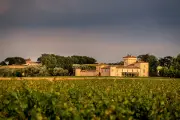 Nuits dorées à Lafaurie-Peyraguey : l'art de vivre en Sauternais