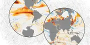 Océan : températures records en 2026, un réchauffement sans précédent
