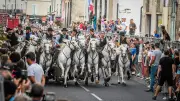 Occitanie lance une enquête sur l'impact de la culture camarguaise