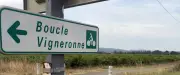 On a testé la boucle vigneronne à vélo dans les Côtes-du-Rhône