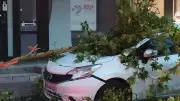 Orage violent à Montpellier : routes inondées et arbres tombés