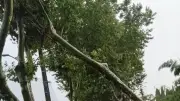Orages à Vendémian : routes sécurisées, aucun blessé