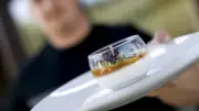 Panna cotta de chèvre estivale signée Maxime Schoenenberger