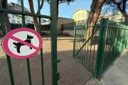 Parc à chiens à Nice : la mairie assure que le dossier est à l'étude