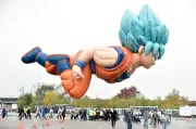 Parc Dragon Ball : l'opposition dénonce un modèle soviétique