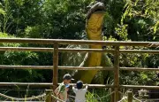 Parcs d'attractions : les souhaits des Français pour l'Ile-de-France