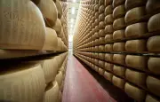 Parmesan : les banques italiennes face à la canicule