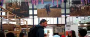 Pastoralisme caussenard : l'expo 