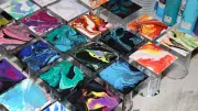 Peinture fluide : un stage à la MJC de Teyran fin août