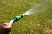Pelouse jaunie par la canicule : comment la sauver