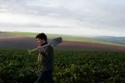 Pesticides : le Conseil constitutionnel valide la loi d'urgence agricole