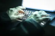Piratage des données fiscales : la France « ane de l'Europe » en cybersécurité