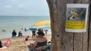 Plages sans tabac : quel bilan un an après l'interdiction ?