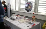 Plan douane 2030 : la Guyane première ligne contre le narcotrafic